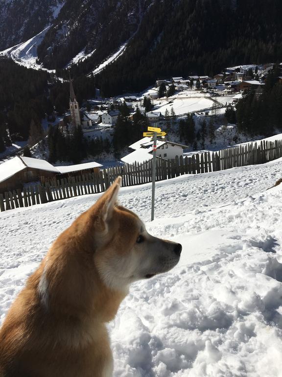 Pension Alpenrose Sankt Sigmund im Sellrain Экстерьер фото